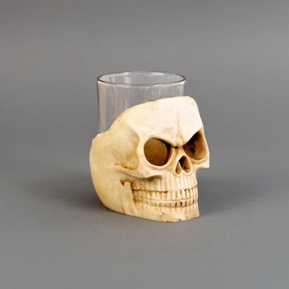 Skull Decor